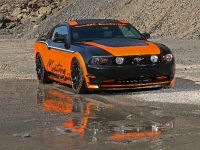 thumbnail image of 2011 Design World Ford Mustang