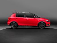 thumbnail image of 2011 Skoda Fabia Monte Carlo
