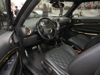 thumbnail image of 2013 MINI Paceman by Roberto Cavalli