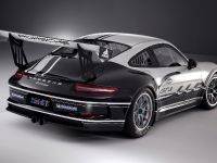 thumbnail image of 2013 Porsche 911 GT3 Cup Race Car