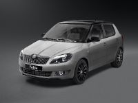 thumbnail image of 2013 Skoda Fabia Reaction and Monte Carlo TECH Estate