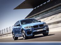 thumbnail image of 2015 BMW X6 M