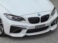 thumbnail image of 2016 dAHLer BMW M2 Coupe