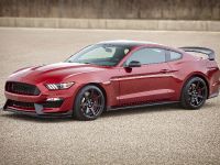 thumbnail image of 2017 Ford Mustang Shelby GT350 