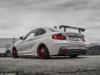 thumbnail image of 2018 Z-Performance BMW 235i