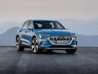 thumbnail image of 2019 Audi e-tron Launch Edition