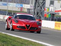 thumbnail image of Alfa Romeo 4C 2014 WTCC Safety Car