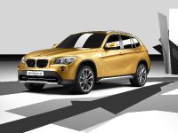 thumbnail image of BMW Concept X1