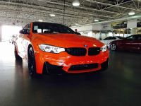 thumbnail image of BMW F83 M4 Limerock Special Edition