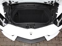 thumbnail image of Capristo Lamborghini Aventador Carbon