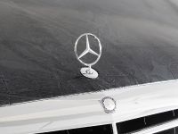 thumbnail image of CFC Mercedes-Benz S65 AMG