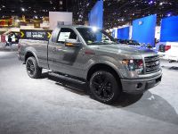 thumbnail image of Ford F-150 Chicago 2014