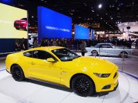 thumbnail image of Ford Mustang Chicago 2014