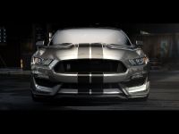 thumbnail image of Ford Shelby GT350 Mustang