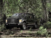 thumbnail image of Ford Super Duty Cabela's FX4 Edition 2009