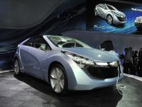 thumbnail image of 2010 Hyundai Blue-Will Detroit