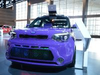 thumbnail image of Kia Soul Chicago 2014