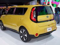 thumbnail image of Kia Soul New York 2013