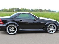 thumbnail image of LUMMA Tuning Mercedes-Benz SLK R170