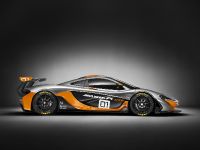 thumbnail image of McLaren P1 GTR