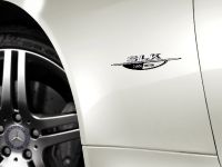 thumbnail image of Mercedes-Benz SLK 2LOOK Edition