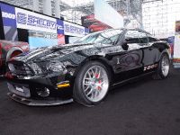 thumbnail image of Shelby 1000 New York 2013