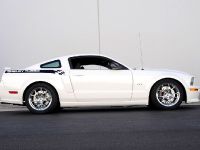 thumbnail image of 2008 Ford Shelby GT