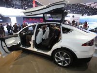 thumbnail image of Tesla Model X Detroit 2013