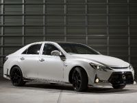 thumbnail image of Toyota Concepts at the 2013 Tokyo Auto Salon