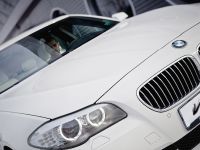 thumbnail image of Vilner BMW F10