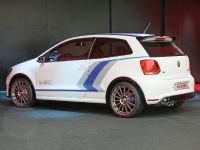 thumbnail image of Volkswagen Polo WRC Street